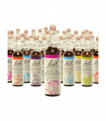 CONSEIL ET ENTRETIEN : RÉGULER SES ÉMOTIONS AVEC LES FLEURS DE BACH CONSEIL ET ENTRETIEN : RÉGULER SES ÉMOTIONS AVEC LES FLEURS DE BACH